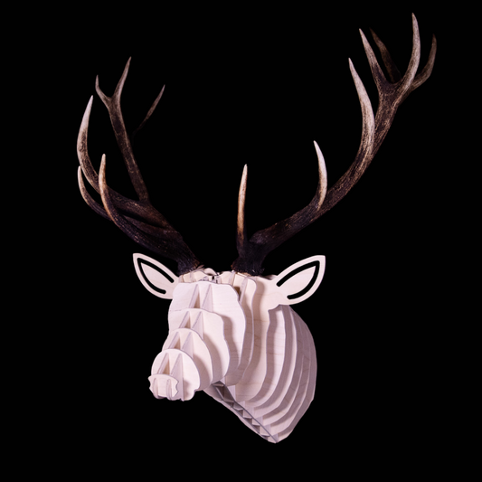 Premium Deer Head