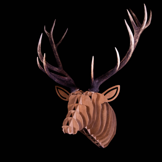 Premium Deer Head