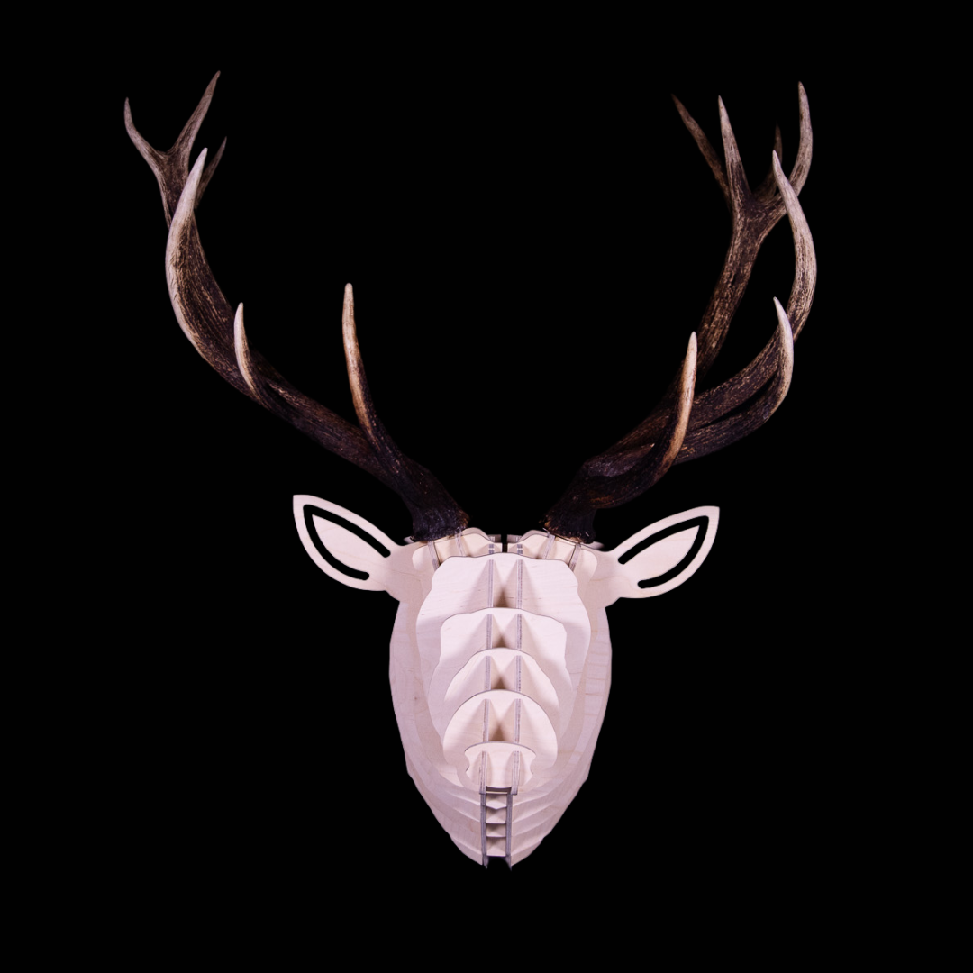 Premium Deer Head